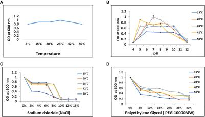 Temperature-induced modulation of stress-tolerant PGP genes bioprospected from Bacillus sp. IHBT-705 associated with saffron (Crocus sativus) rhizosphere: A natural -treasure trove of microbial biostimulants